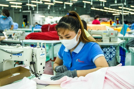 Investors favor textile stocks with long-term growth ảnh 1