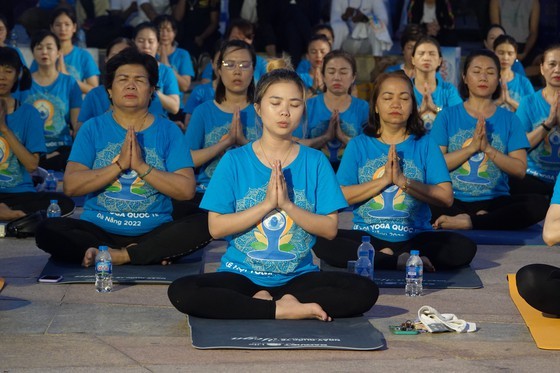  International Day of Yoga opens in Da Nang City ảnh 2