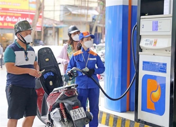 MoF proposes further cut to environmental protection tax for petrol ảnh 1