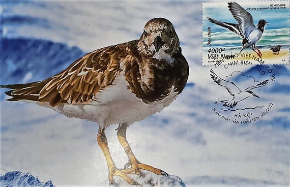 Postage stamp set featuring Vietnam's Sea and Islands released ảnh 3