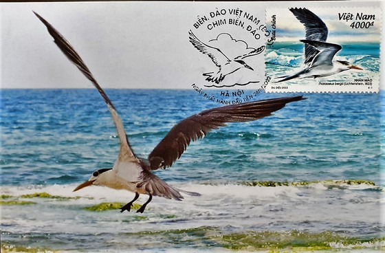Postage stamp set featuring Vietnam's Sea and Islands released ảnh 4