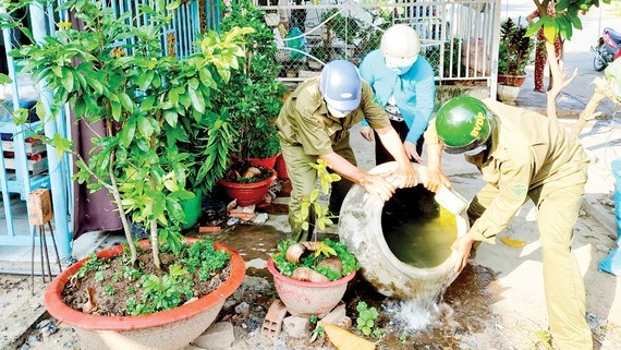 HCMC launches environmental sanitation campaign against dengue fever ảnh 1