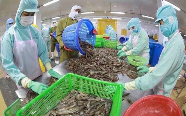 Seafood export takes larger bite out of foreign markets ảnh 1