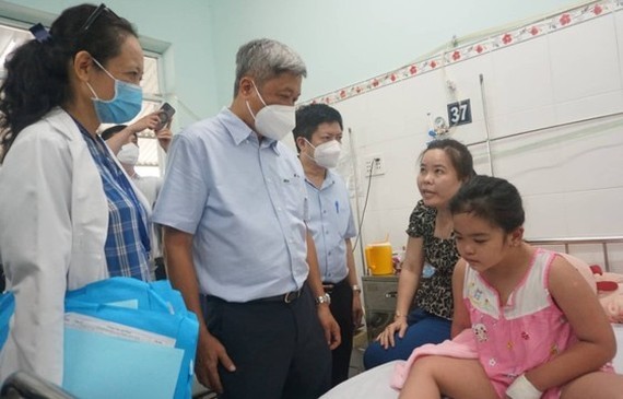 Number of weekly dengue cases in HCMC continues to rise  ảnh 1