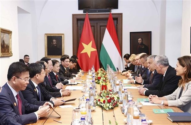 Vietnam, Hungary to further promote trade, politics, people-to-people exchanges ảnh 2
