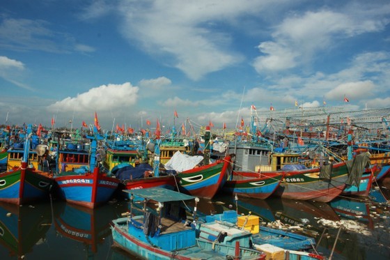 Fishermen get ready for journeys to sea thanks to fuel price reduction  ảnh 1