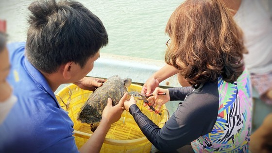 Vietnam makes efforts for blue ocean ảnh 2