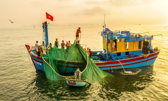Vietnam makes efforts for blue ocean ảnh 8