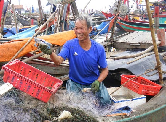 Bustling rhythms at fishing villages in Central region ảnh 3