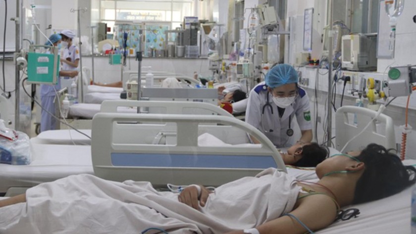 HCMC records two more deaths from dengue fever ảnh 1