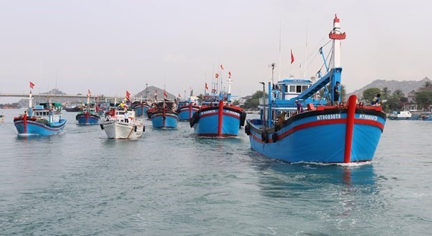 Kien Giang, Ca Mau coordinate in combating IUU fishing ảnh 1