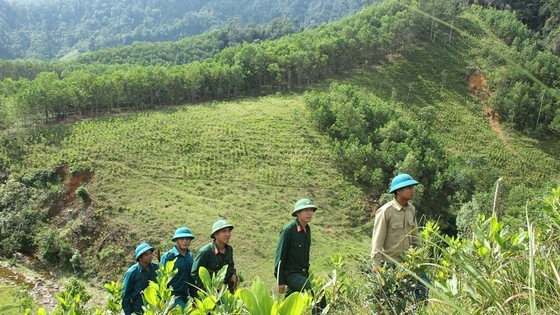 "Hot point” of dioxin in Thua Thien-Hue Province revived ảnh 1