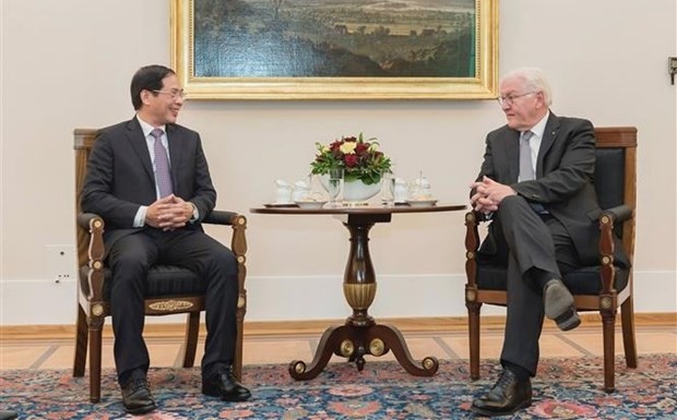 Foreign Minister Bui Thanh Son pays visit to Germany ảnh 2
