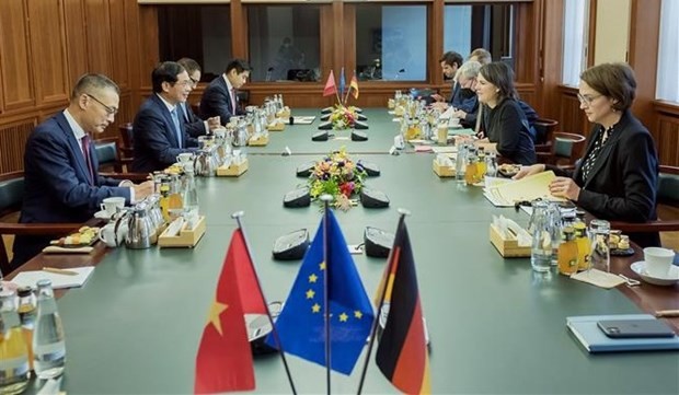 Foreign Minister Bui Thanh Son pays visit to Germany ảnh 3