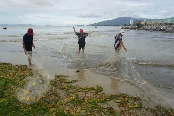 Locals rush to catch fish after storm Noru in Da Nang  ảnh 6