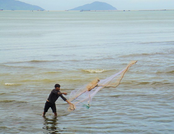 Locals rush to catch fish after storm Noru in Da Nang  ảnh 4