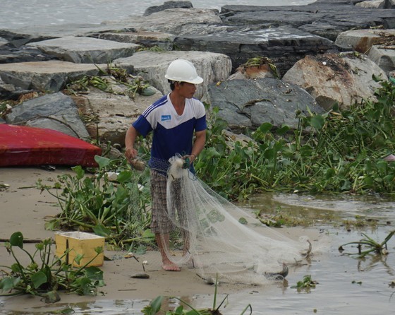 Locals rush to catch fish after storm Noru in Da Nang  ảnh 8