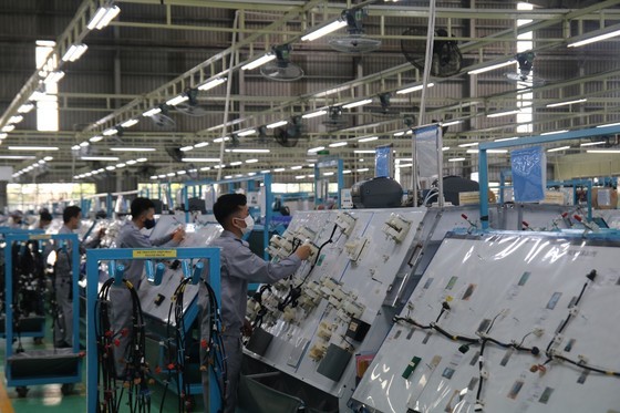 Quang Nam has 999 newly registered enterprises in first nine months ảnh 1