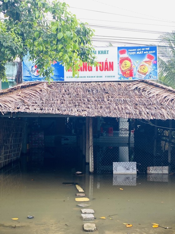 High tide causes serious flooding in downstream of Hau Giang  ảnh 1