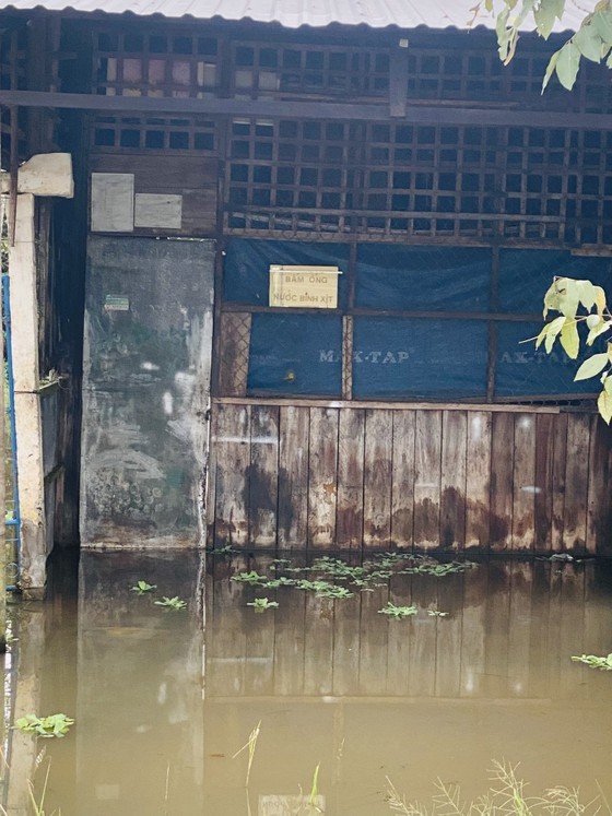 High tide causes serious flooding in downstream of Hau Giang  ảnh 2