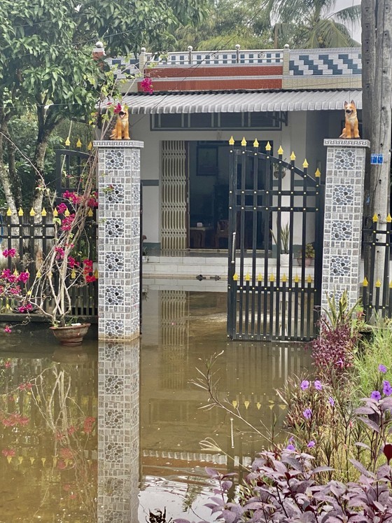 High tide causes serious flooding in downstream of Hau Giang ảnh 4