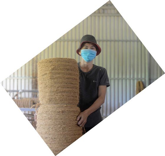 High economic value of Ben Tre based-coconut tree ảnh 6