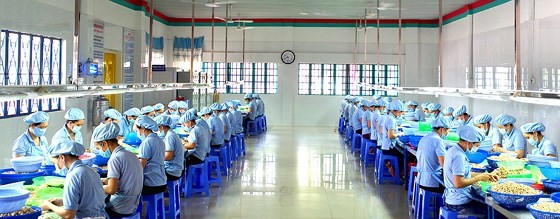 Vietnam’s path to become world cashew king ảnh 1