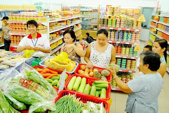 Retail model under conversion in Vietnam ảnh 1