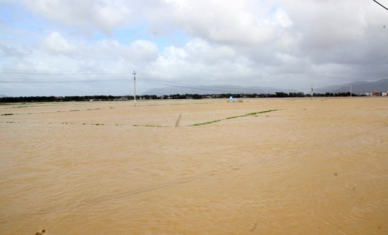 Heavy rain triggered flooding batters central region of Vietnam ảnh 3