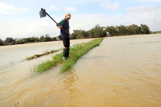 Heavy rain triggered flooding batters central region of Vietnam ảnh 5