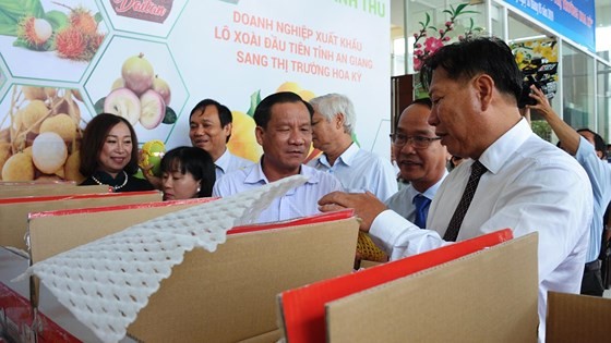 Vietnamese mangoes continue being exported to US ảnh 1