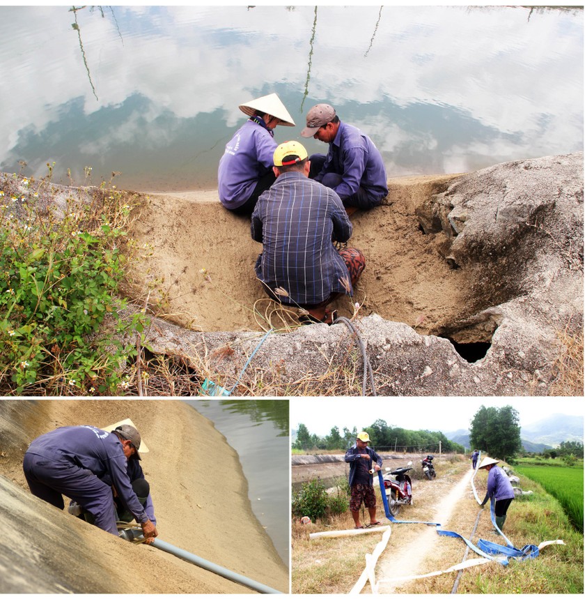 Farmers struggle with drought, water shortage in Central region ảnh 10