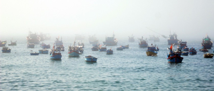Lobster catchers earn big money in Central Vietnam ảnh 13
