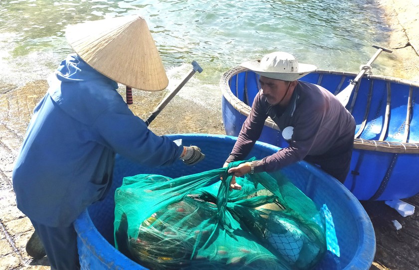 Lobster catchers earn big money in Central Vietnam ảnh 10