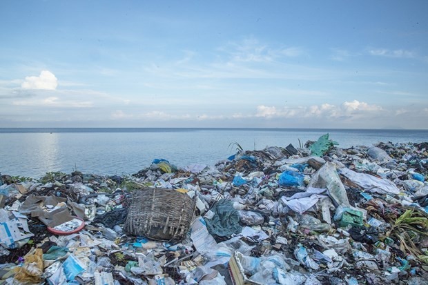 Efforts made to reduce plastic waste in oceans ảnh 1