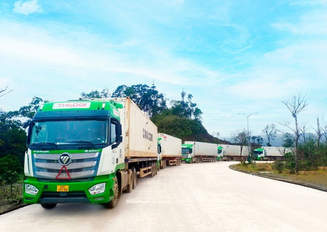 Giải pháp logistics qua cửa khẩu quốc tế Nam Giang cho doanh nghiệp Việt, Lào ảnh 2