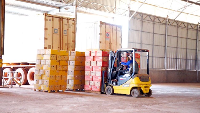 Giải pháp logistics qua cửa khẩu quốc tế Nam Giang cho doanh nghiệp Việt, Lào ảnh 4