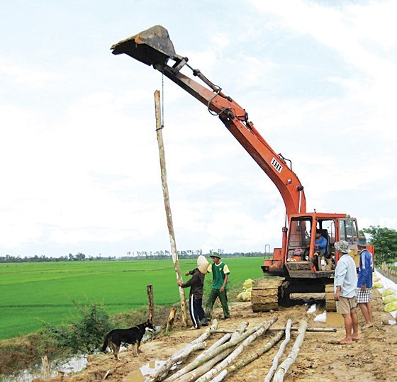 Mekong farmers earn money on early flooding season ảnh 1