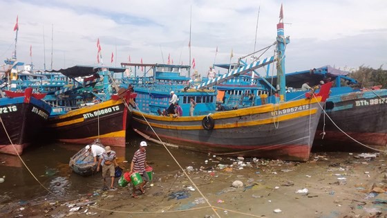 Binh Thuan’s fishermen sailing back to sea after typhoon ảnh 2