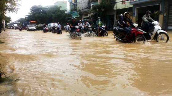 Binh Dinh province damaged seriously by heavy downpours ảnh 3