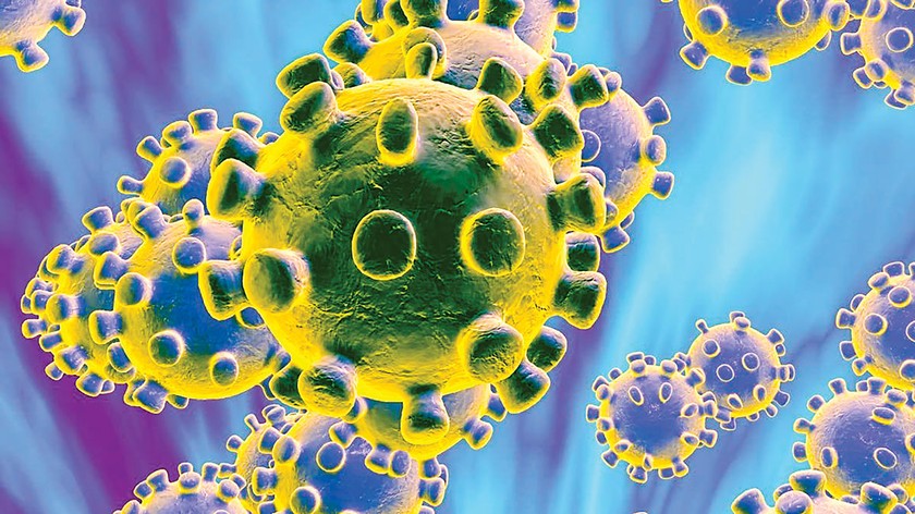 Hiểu và phòng tránh virus corona ảnh 2