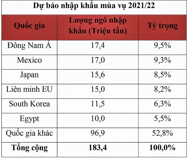 Triển vọng nào cho giá ngô sắp tới? ảnh 3
