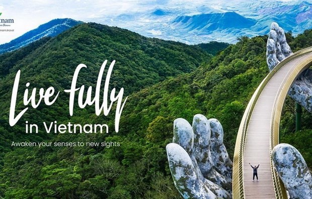 Mở cửa du lịch tạo động lực phát triển nhiều ngành kinh tế hình ảnh 2 Mo cua du lich tao dong luc phat trien nhieu nganh kinh te hinh anh 2