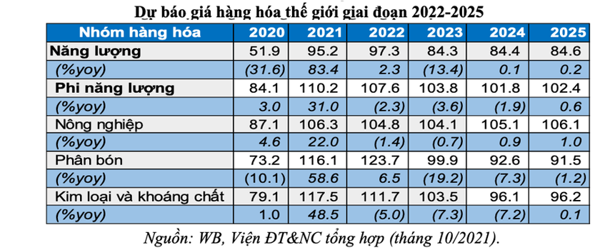 Áp lực lạm phát 2021-2022 và khuyến nghị - Ảnh 5