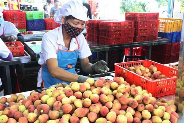 Lợi thế về địa lý của ASEAN đang mở ra cơ hội cho doanh nghiệp Việt hình ảnh 2 Loi the ve dia ly cua ASEAN dang mo ra co hoi cho doanh nghiep Viet hinh anh 2