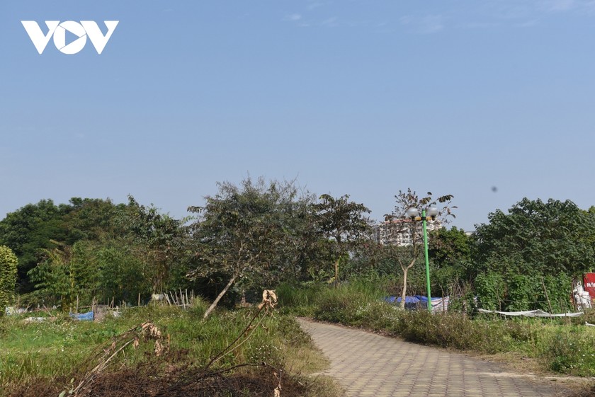 Công viên ở Hà Nội bị bỏ hoang, xuống cấp biến thành vườn rau giữa khu đô thị Việt Hưng ảnh 14