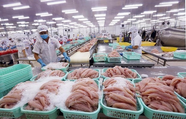 Doanh nghiệp thủy sản đối diện dấu hiệu xuất khẩu giảm tốc hình ảnh 2 Doanh nghiep thuy san doi dien dau hieu xuat khau giam toc hinh anh 2