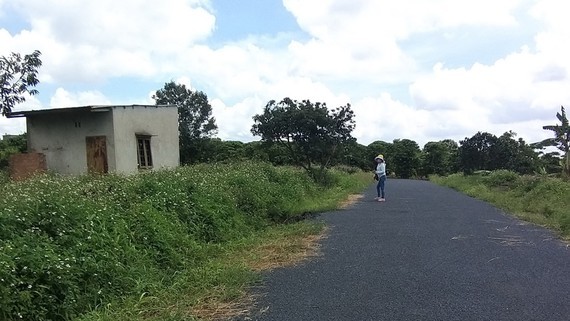 Speculators cause land fever in Southern provinces ảnh 1