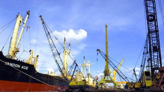 Mekong Delta needs proper investment in logistics infrastructure ảnh 1