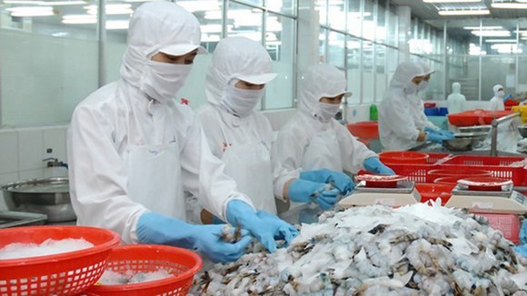 Aquatic exports spike 40 percent in H1 ảnh 1